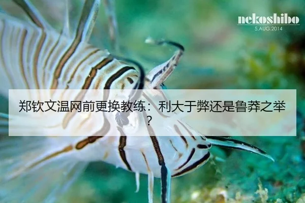 郑钦文温网前更换教练:利大于弊还是鲁莽之举?